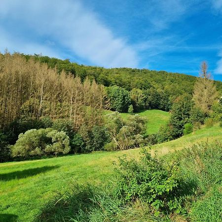 Das-Urlaubszuhause-Fuer-Familien-Grossfamilien-Mehrfamilien-Und-Kleine-Gruppen-Bis-Zum-12-Personen-Mit-Vielen-Unterhaltungsmoeglichkeiten-Im-Harz Villa Sieber Dış mekan fotoğraf