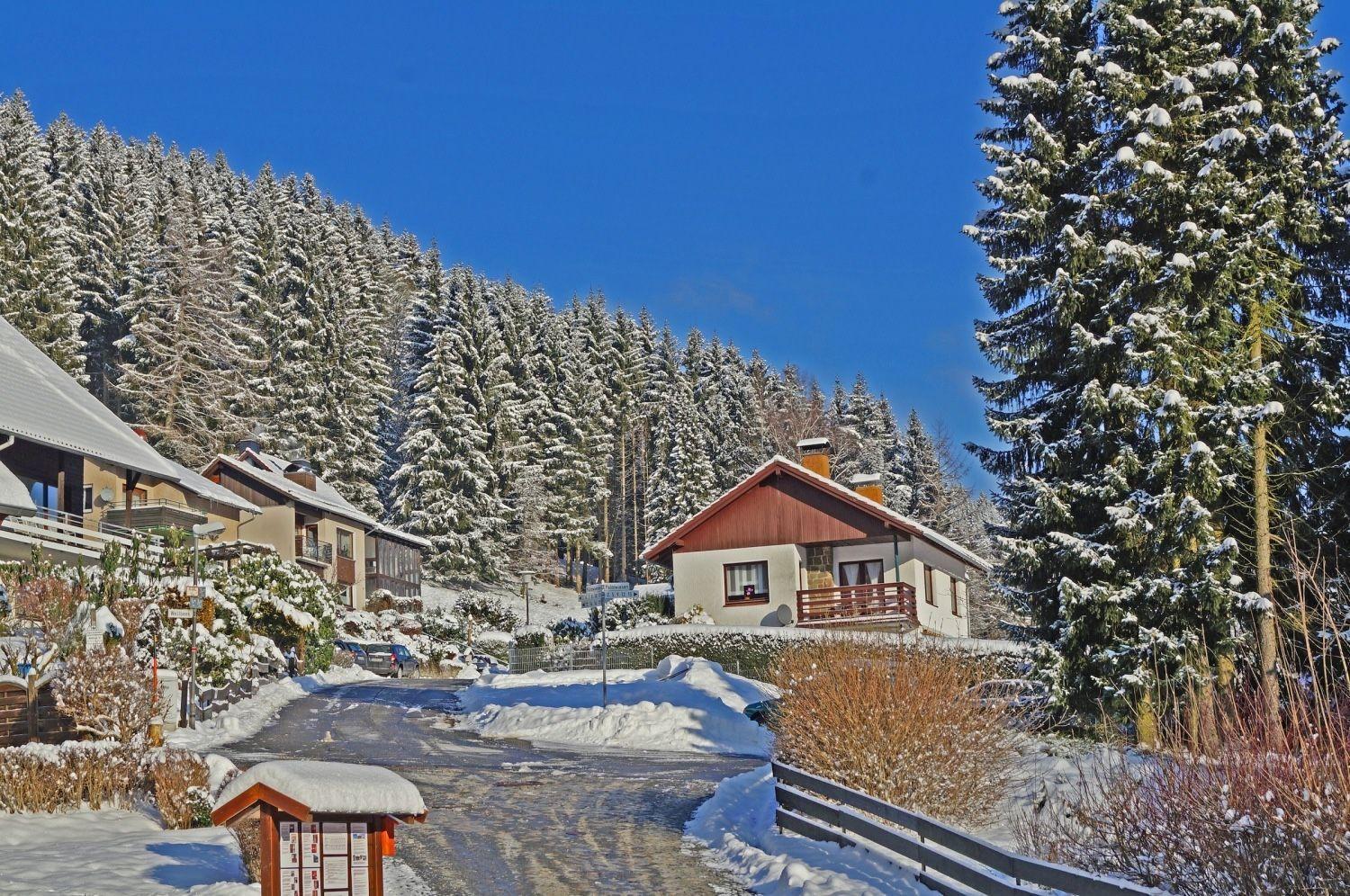 Das-Urlaubszuhause-Fuer-Familien-Grossfamilien-Mehrfamilien-Und-Kleine-Gruppen-Bis-Zum-12-Personen-Mit-Vielen-Unterhaltungsmoeglichkeiten-Im-Harz Villa Sieber Dış mekan fotoğraf