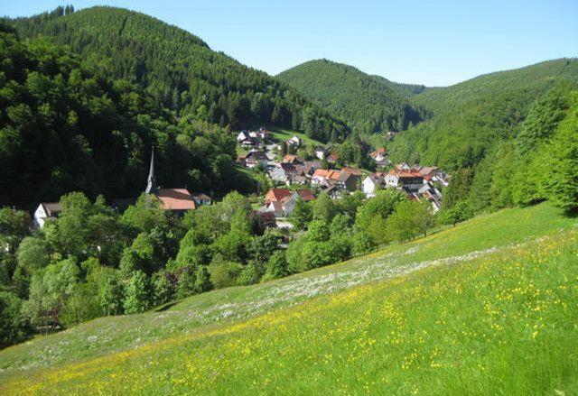 Das-Urlaubszuhause-Fuer-Familien-Grossfamilien-Mehrfamilien-Und-Kleine-Gruppen-Bis-Zum-12-Personen-Mit-Vielen-Unterhaltungsmoeglichkeiten-Im-Harz Villa Sieber Dış mekan fotoğraf