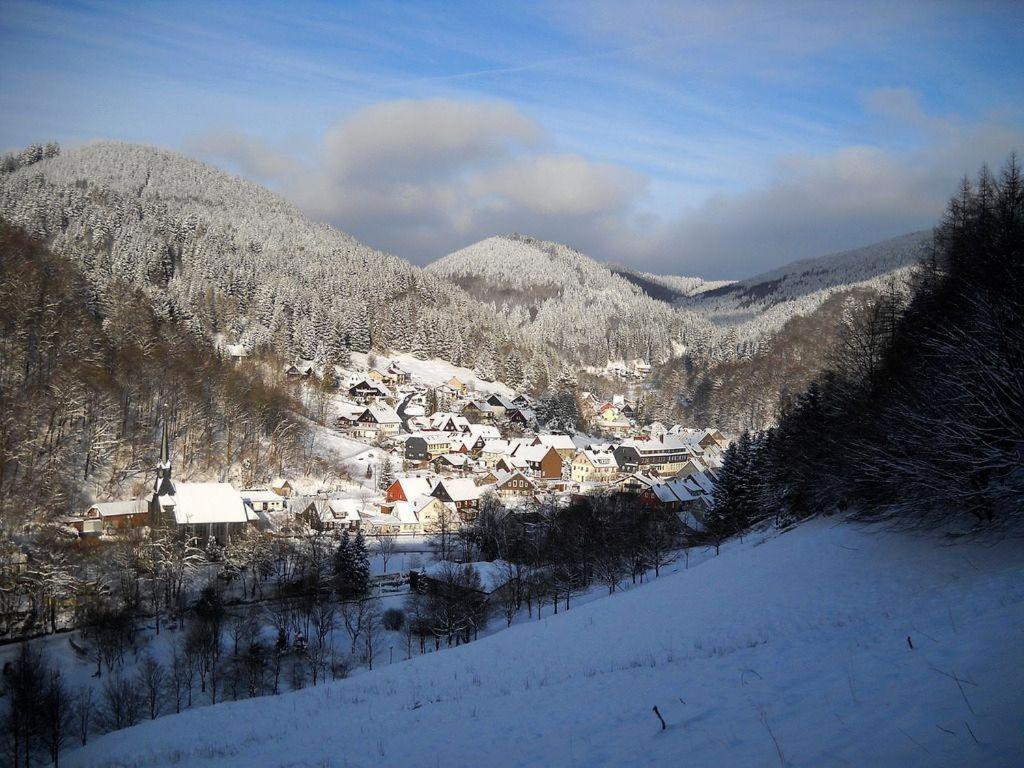 Das-Urlaubszuhause-Fuer-Familien-Grossfamilien-Mehrfamilien-Und-Kleine-Gruppen-Bis-Zum-12-Personen-Mit-Vielen-Unterhaltungsmoeglichkeiten-Im-Harz Villa Sieber Dış mekan fotoğraf