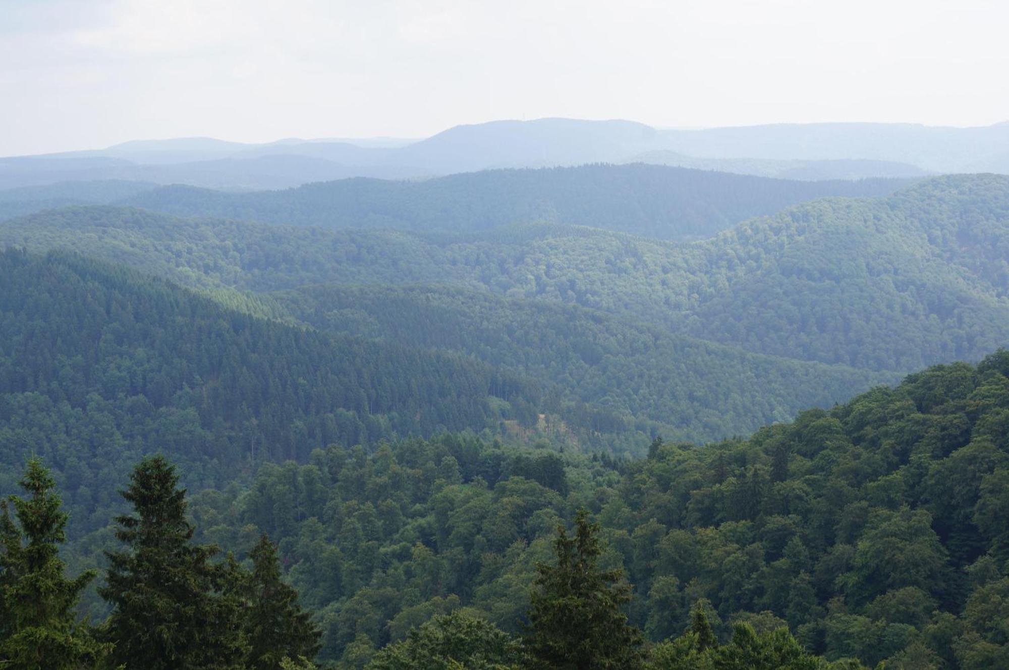 Das-Urlaubszuhause-Fuer-Familien-Grossfamilien-Mehrfamilien-Und-Kleine-Gruppen-Bis-Zum-12-Personen-Mit-Vielen-Unterhaltungsmoeglichkeiten-Im-Harz Villa Sieber Dış mekan fotoğraf