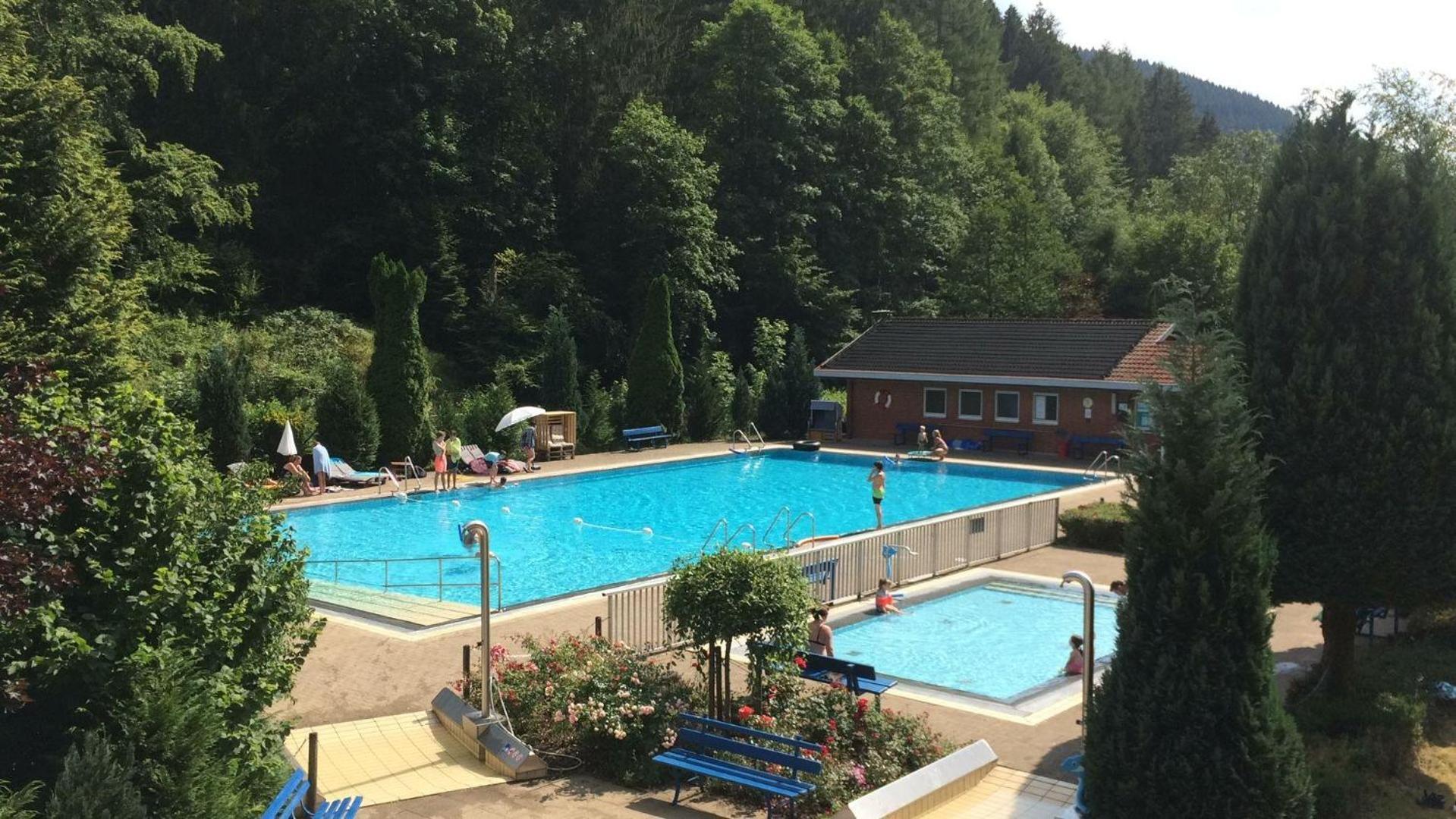 Das-Urlaubszuhause-Fuer-Familien-Grossfamilien-Mehrfamilien-Und-Kleine-Gruppen-Bis-Zum-12-Personen-Mit-Vielen-Unterhaltungsmoeglichkeiten-Im-Harz Villa Sieber Dış mekan fotoğraf