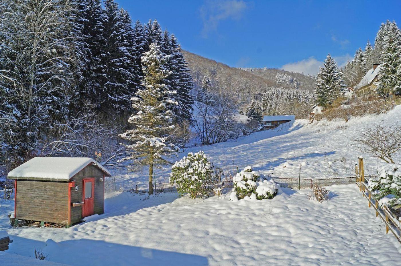 Das-Urlaubszuhause-Fuer-Familien-Grossfamilien-Mehrfamilien-Und-Kleine-Gruppen-Bis-Zum-12-Personen-Mit-Vielen-Unterhaltungsmoeglichkeiten-Im-Harz Villa Sieber Dış mekan fotoğraf