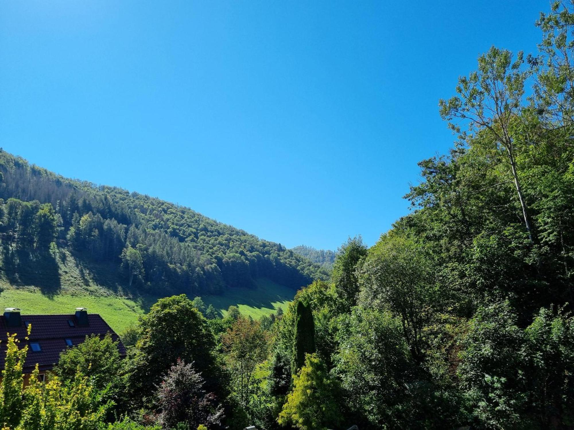 Das-Urlaubszuhause-Fuer-Familien-Grossfamilien-Mehrfamilien-Und-Kleine-Gruppen-Bis-Zum-12-Personen-Mit-Vielen-Unterhaltungsmoeglichkeiten-Im-Harz Villa Sieber Dış mekan fotoğraf