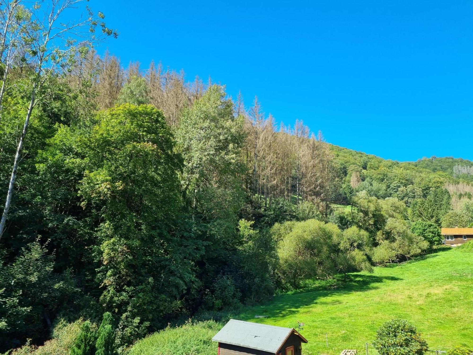 Das-Urlaubszuhause-Fuer-Familien-Grossfamilien-Mehrfamilien-Und-Kleine-Gruppen-Bis-Zum-12-Personen-Mit-Vielen-Unterhaltungsmoeglichkeiten-Im-Harz Villa Sieber Dış mekan fotoğraf